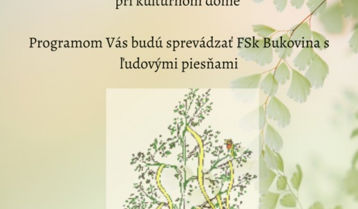 Aktuality / Tradičné stavanie mája - foto