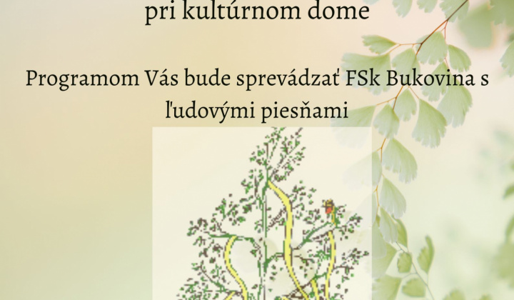 Aktuality / Tradičné stavanie mája - foto