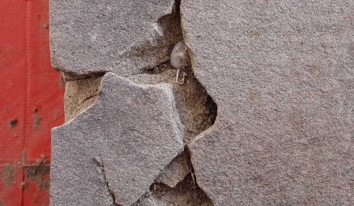 Projekty / Reštaurovanie náhrobníka Štefana Pavle v Kšinnej - foto