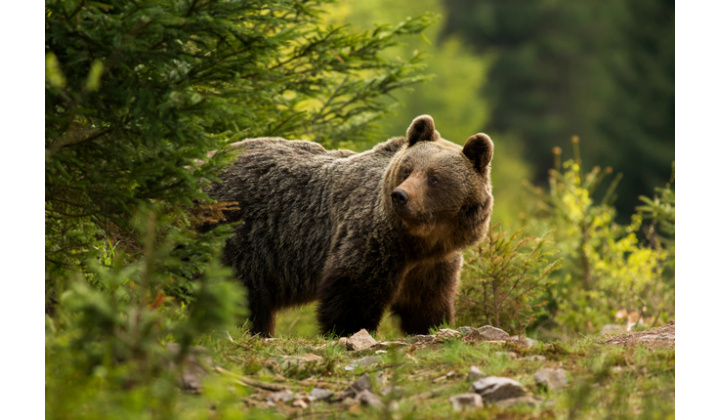 PRÍKAZ PREDNOSTU OKRESNÉHO ÚRADU BÁNOVCE NAD BEBRAVOU