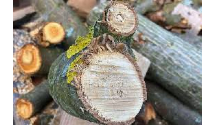 Výzva - Západoslovenská distribučná, a.s.