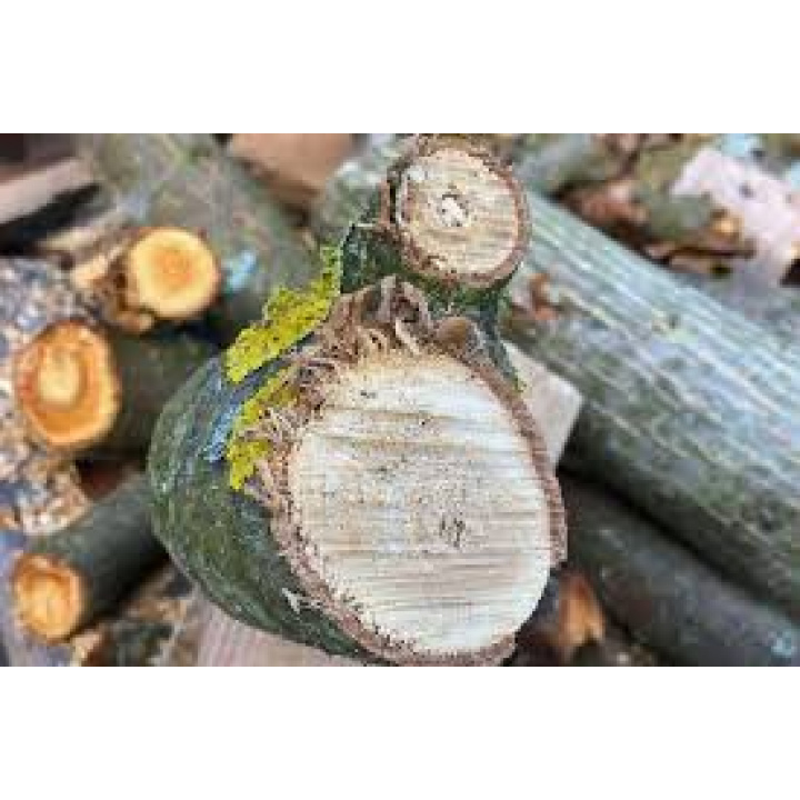 Výzva - Západoslovenská distribučná, a.s.